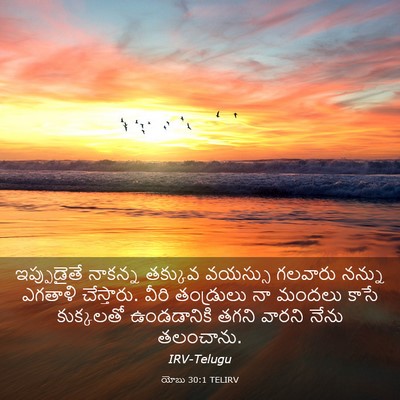 Picture 03 - యోబు 30:1 TELIRV - ఇప్పుడైతే నాకన్న - Bible Verse Picture