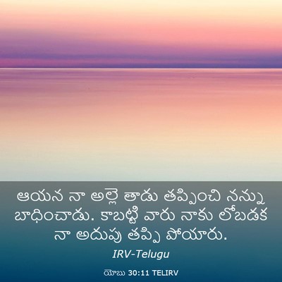 Picture 03 - యోబు 30:11 TELIRV - ఆయన నా అల్లె తాడు - Bible Verse Picture