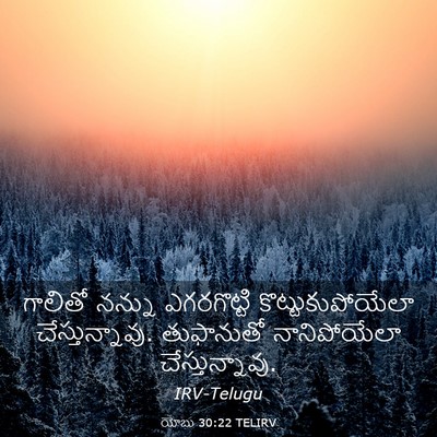 Picture 03 - యోబు 30:22 TELIRV - గాలితో నన్ను - Bible Verse Picture