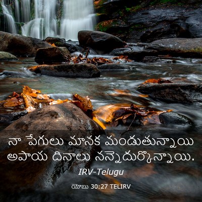 Picture 03 - యోబు 30:27 TELIRV - నా పేగులు మానక - Bible Verse Picture