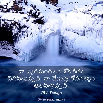 Picture 03 - యోబు 30:31 TELIRV - నా స్వరమండలం శోక - Bible Verse Picture