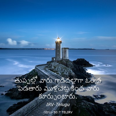 Picture 03 - యోబు 30:7 TELIRV - తుప్పల్లో వారు - Bible Verse Picture