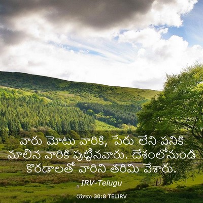 Picture 03 - యోబు 30:8 TELIRV - వారు మోటు వారికి, - Bible Verse Picture
