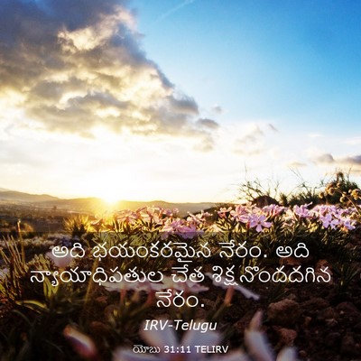 Picture 03 - యోబు 31:11 TELIRV - అది భయంకరమైన నేరం. - Bible Verse Picture