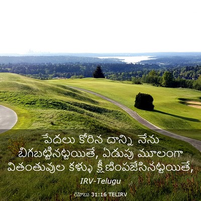 Picture 03 - యోబు 31:16 TELIRV - పేదలు కోరిన - Bible Verse Picture