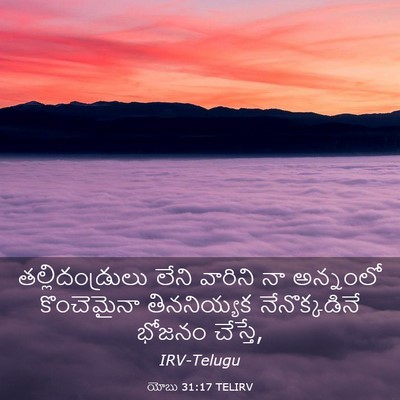 Picture 03 - యోబు 31:17 TELIRV - తల్లిదండ్రులు - Bible Verse Picture
