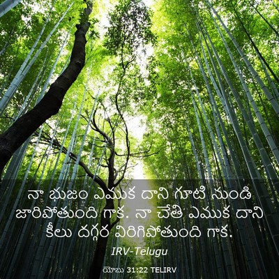 Picture 03 - యోబు 31:22 TELIRV - నా భుజం ఎముక దాని - Bible Verse Picture