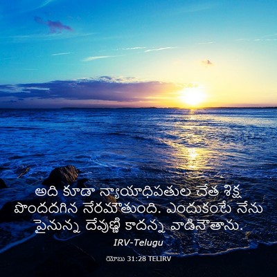 Picture 03 - యోబు 31:28 TELIRV - అది కూడా - Bible Verse Picture