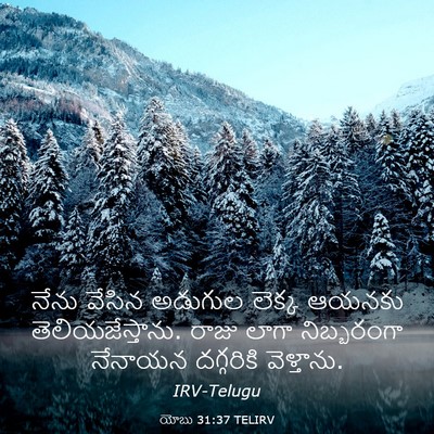 Picture 03 - యోబు 31:37 TELIRV - నేను వేసిన అడుగుల - Bible Verse Picture