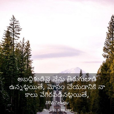 Picture 03 - యోబు 31:5 TELIRV - అబద్ధికుడినై నేను - Bible Verse Picture