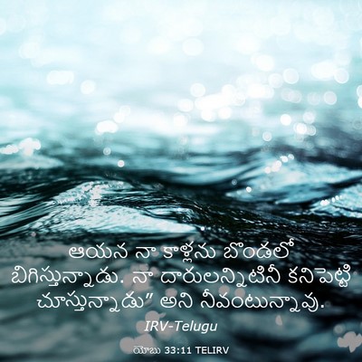 Picture 03 - యోబు 33:11 TELIRV - ఆయన నా కాళ్లను - Bible Verse Picture