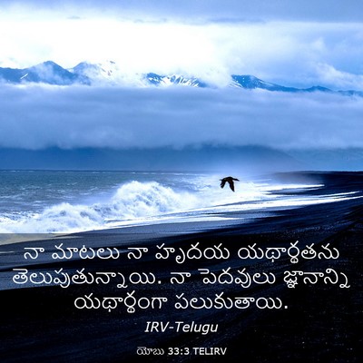 Picture 03 - యోబు 33:3 TELIRV - నా మాటలు నా హృదయ - Bible Verse Picture