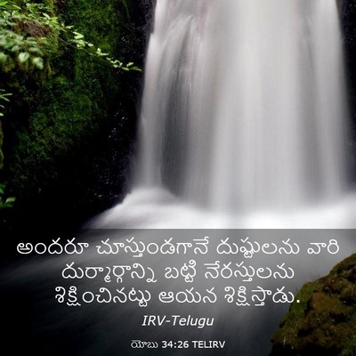 Picture 03 - యోబు 34:26 TELIRV - అందరూ - Bible Verse Picture