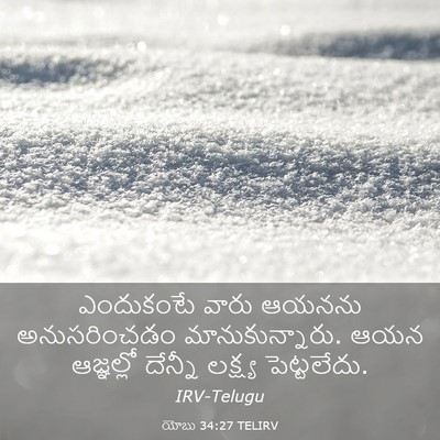 Picture 03 - యోబు 34:27 TELIRV - ఎందుకంటే వారు - Bible Verse Picture