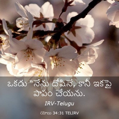 Picture 03 - యోబు 34:31 TELIRV - ఒకడు “నేను దోషినే, - Bible Verse Picture
