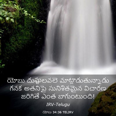 Picture 03 - యోబు 34:36 TELIRV - యోబు దుష్టులవలె - Bible Verse Picture