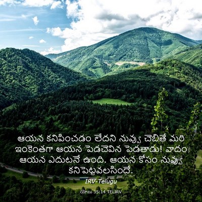 Picture 03 - యోబు 35:14 TELIRV - ఆయన కనిపించడం - Bible Verse Picture