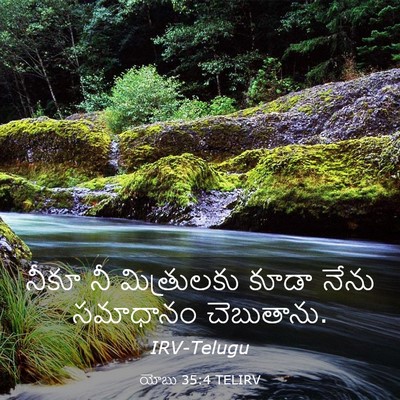 Picture 03 - యోబు 35:4 TELIRV - నీకూ నీ మిత్రులకు - Bible Verse Picture