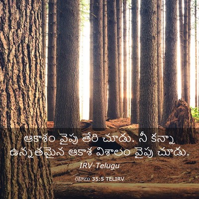 Picture 03 - యోబు 35:5 TELIRV - ఆకాశం వైపు తేరి - Bible Verse Picture