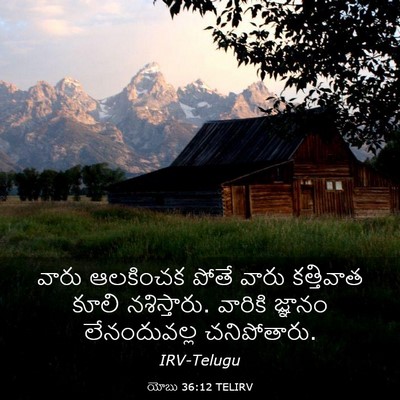 Picture 03 - యోబు 36:12 TELIRV - వారు ఆలకించక పోతే - Bible Verse Picture