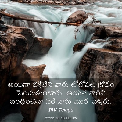 Picture 03 - యోబు 36:13 TELIRV - అయినా భక్తిలేని - Bible Verse Picture