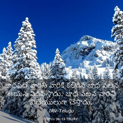 Picture 03 - యోబు 36:15 TELIRV - బాధపడే వారిని - Bible Verse Picture