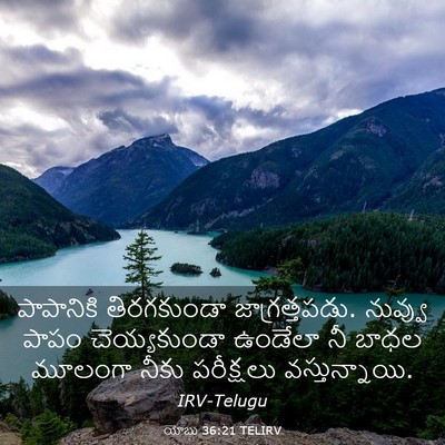 Picture 03 - యోబు 36:21 TELIRV - పాపానికి - Bible Verse Picture