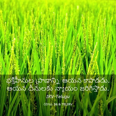 Picture 03 - యోబు 36:6 TELIRV - భక్తిహీనుల - Bible Verse Picture