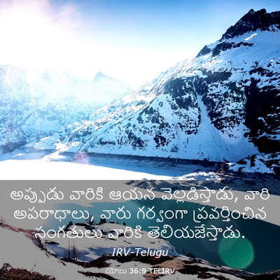 Picture 03 - యోబు 36:9 TELIRV - అప్పుడు వారికి - Bible Verse Picture