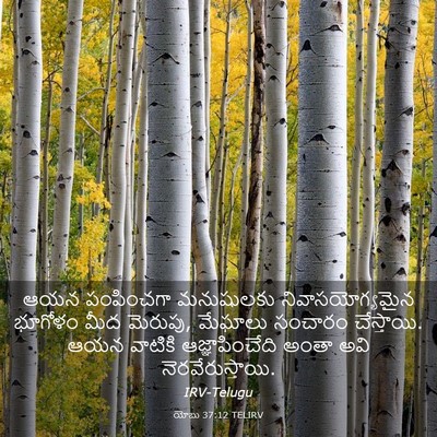 Picture 03 - యోబు 37:12 TELIRV - ఆయన పంపించగా - Bible Verse Picture