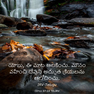 Picture 03 - యోబు 37:14 TELIRV - యోబు, ఈ మాట - Bible Verse Picture