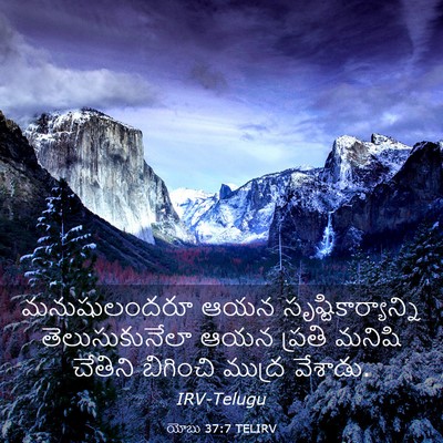 Picture 03 - యోబు 37:7 TELIRV - మనుషులందరూ ఆయన - Bible Verse Picture