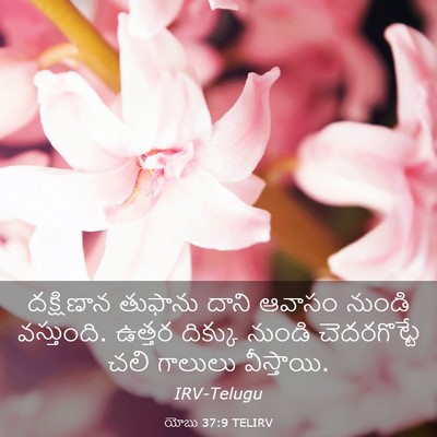 Picture 03 - యోబు 37:9 TELIRV - దక్షిణాన తుఫాను - Bible Verse Picture