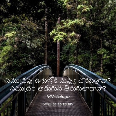 Picture 03 - యోబు 38:16 TELIRV - సముద్రపు ఊటల్లోకి - Bible Verse Picture