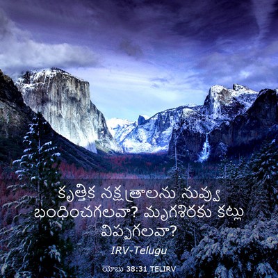 Picture 03 - యోబు 38:31 TELIRV - కృత్తిక - Bible Verse Picture