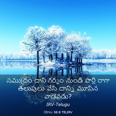 Picture 03 - యోబు 38:8 TELIRV - సముద్రం దాని - Bible Verse Picture