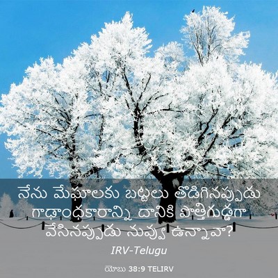 Picture 03 - యోబు 38:9 TELIRV - నేను మేఘాలకు - Bible Verse Picture