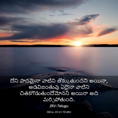 Picture 03 - యోబు 39:15 TELIRV - దేని పాదమైనా - Bible Verse Picture