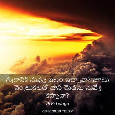 Picture 03 - యోబు 39:19 TELIRV - గుర్రానికి నువ్వు - Bible Verse Picture