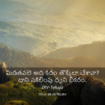 Picture 03 - యోబు 39:20 TELIRV - మిడతవలె అది కదం - Bible Verse Picture