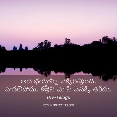 Picture 03 - యోబు 39:22 TELIRV - అది భయాన్ని - Bible Verse Picture
