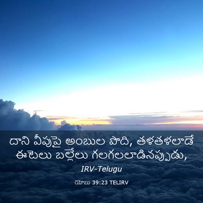 Picture 03 - యోబు 39:23 TELIRV - దాని వీపుపై అంబుల - Bible Verse Picture