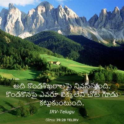Picture 03 - యోబు 39:28 TELIRV - అది కొండశిఖరాలపై - Bible Verse Picture