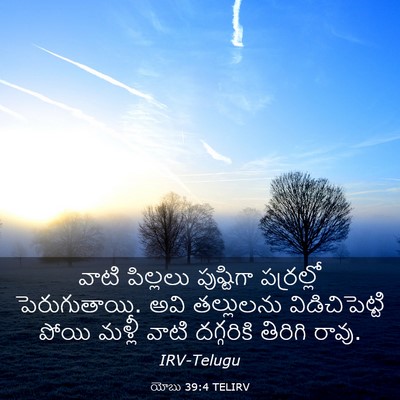 Picture 03 - యోబు 39:4 TELIRV - వాటి పిల్లలు - Bible Verse Picture