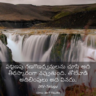 Picture 03 - యోబు 39:7 TELIRV - పట్టణపు - Bible Verse Picture