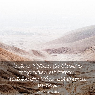 Picture 03 - యోబు 4:10 TELIRV - సింహాల గర్జనలు, - Bible Verse Picture