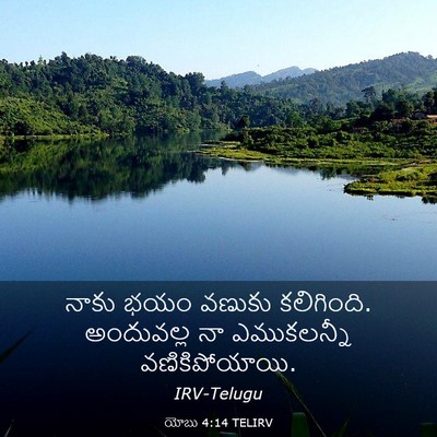 Picture 03 - యోబు 4:14 TELIRV - నాకు భయం వణుకు - Bible Verse Picture