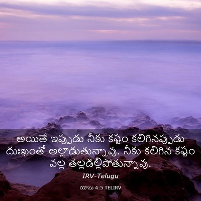 Picture 03 - యోబు 4:5 TELIRV - అయితే ఇప్పుడు - Bible Verse Picture