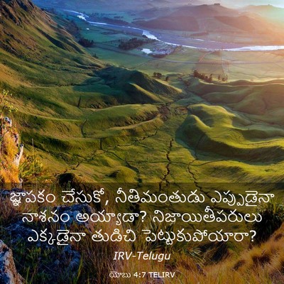 Picture 03 - యోబు 4:7 TELIRV - జ్ఞాపకం చేసుకో, - Bible Verse Picture