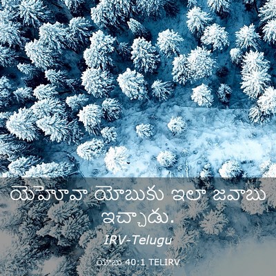 Picture 03 - యోబు 40:1 TELIRV - యెహోవా యోబుకు ఇలా - Bible Verse Picture